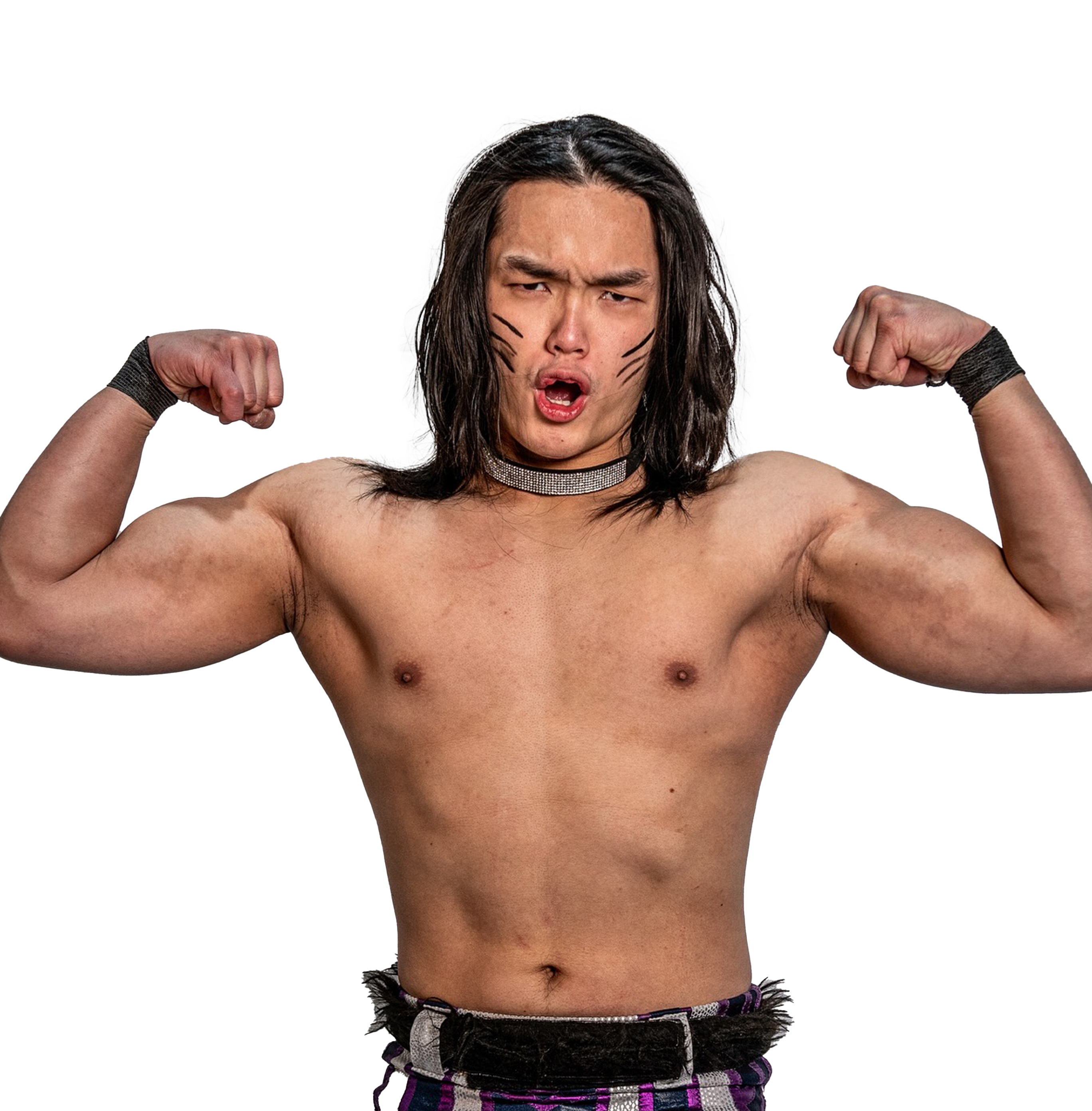 Son Vu Ho