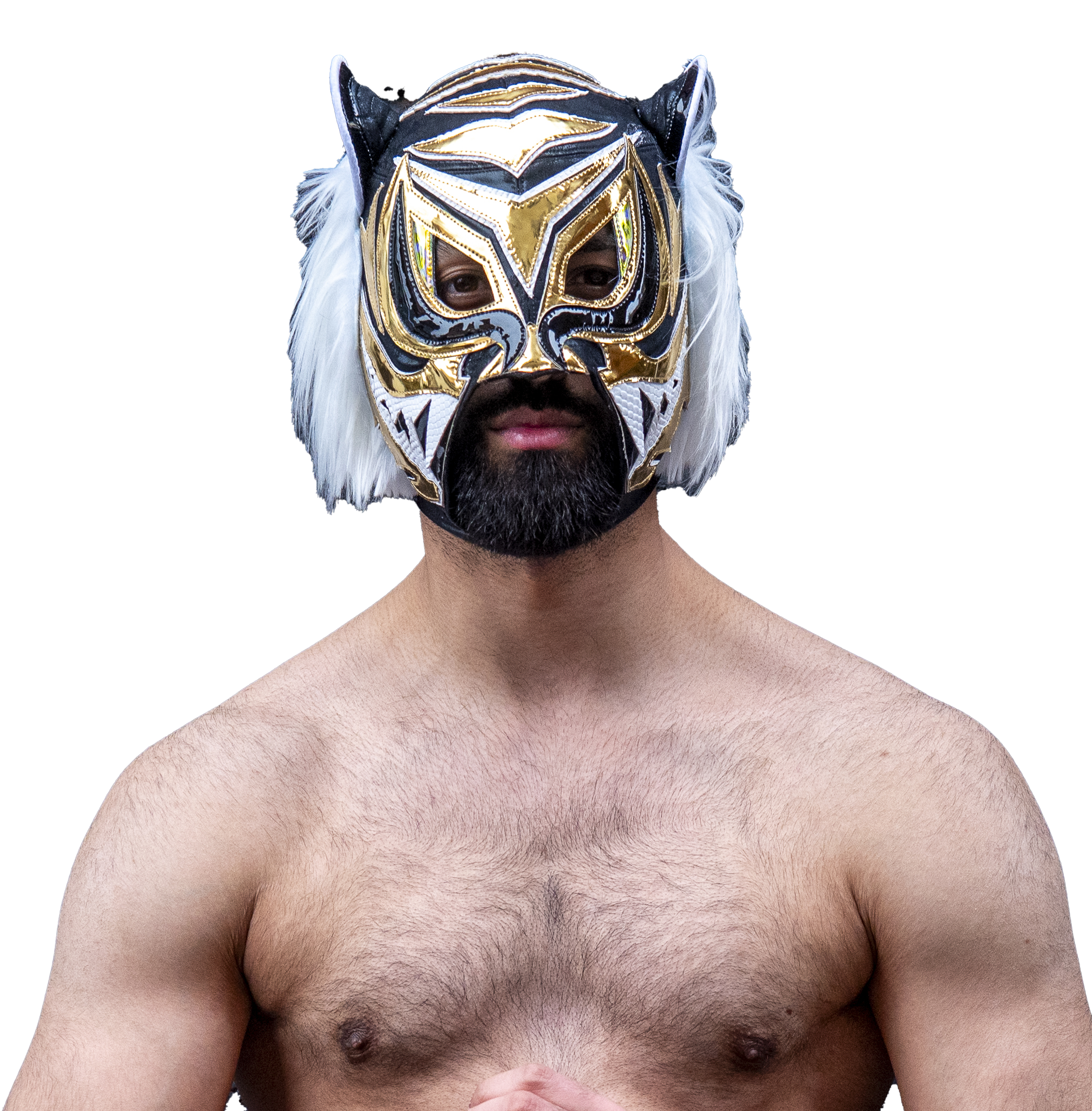 Tiger Shah